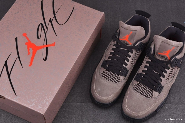 Chep Onekick Air DB0732-200 Retro Jordan Haze